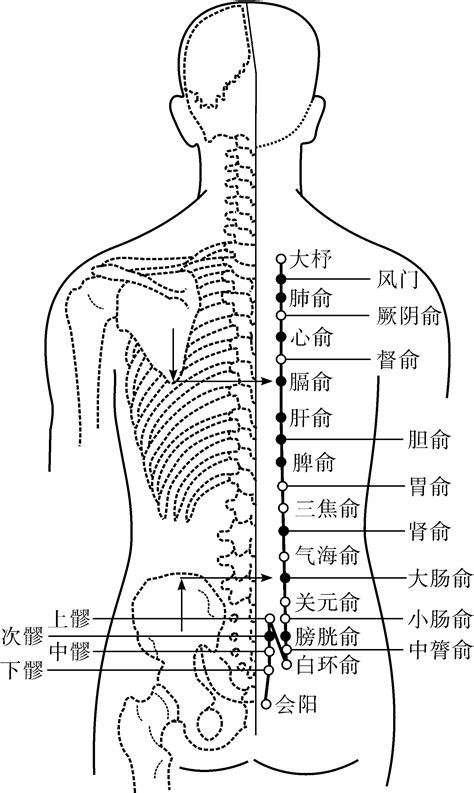 背穴|背俞